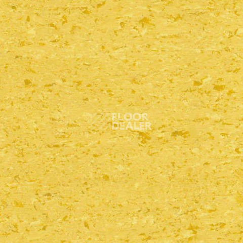 Линолеум Gerflor Mipolam Accord 0322 CINTO фото 1 | FLOORDEALER